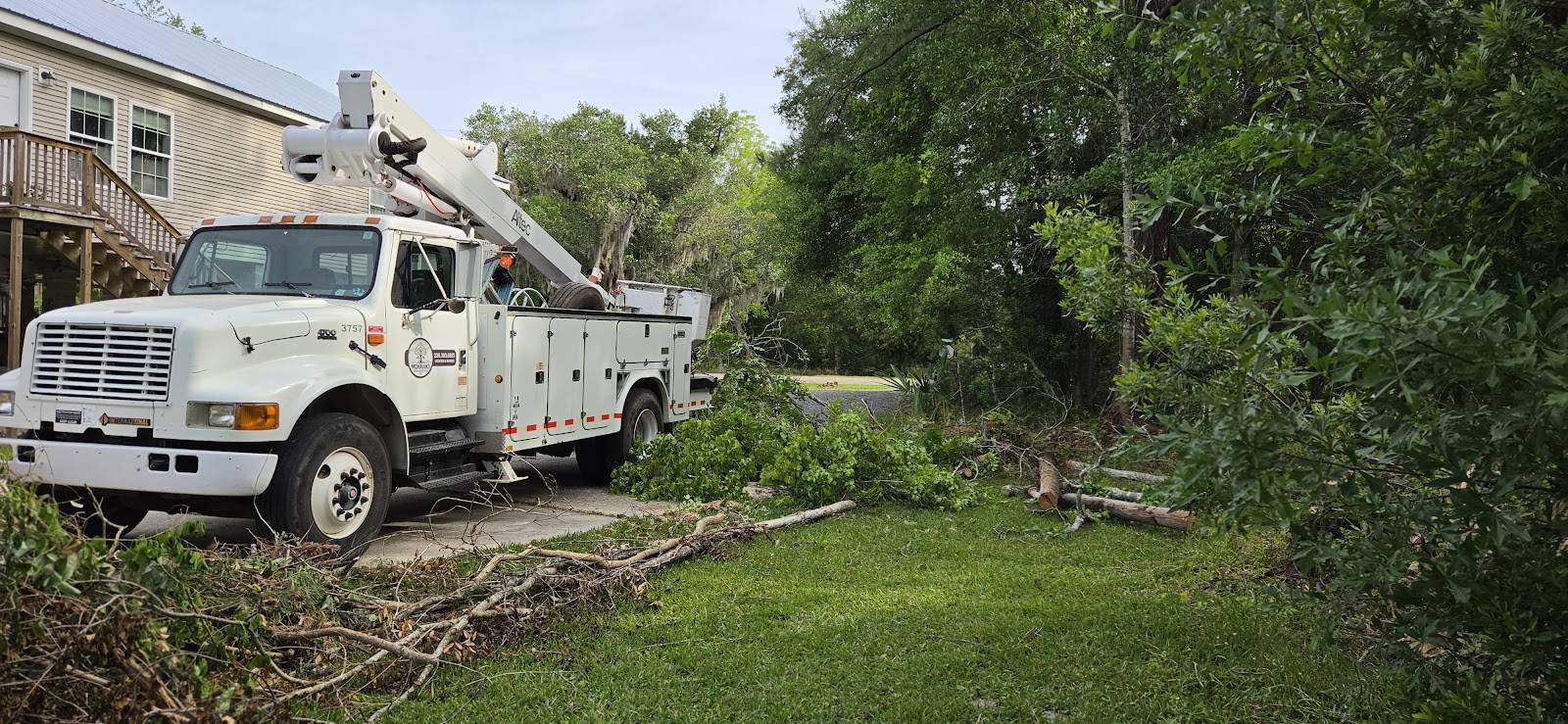 White bucket truck in a driveway beside a raised house, with fresh-cut limbs piled on the lawn next to a stand of trees