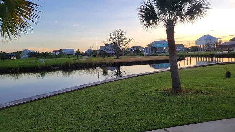 Sabal palm on a green lawn beside a bulkheaded canal at sunset, raised houses reflected in the water